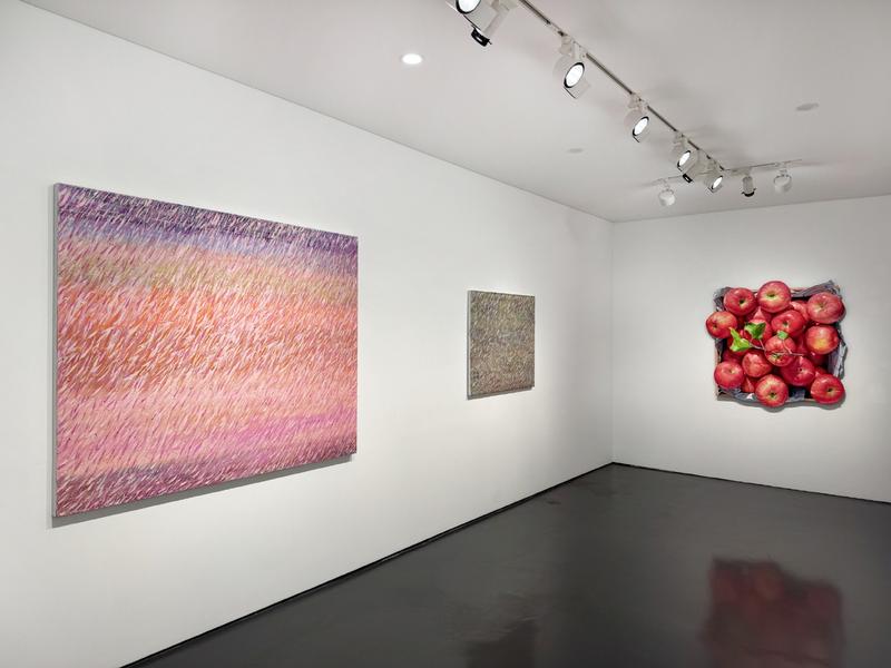 Autumn Collection 2025