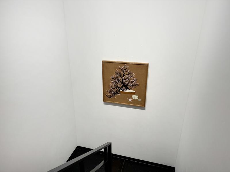 Autumn Collection 2025