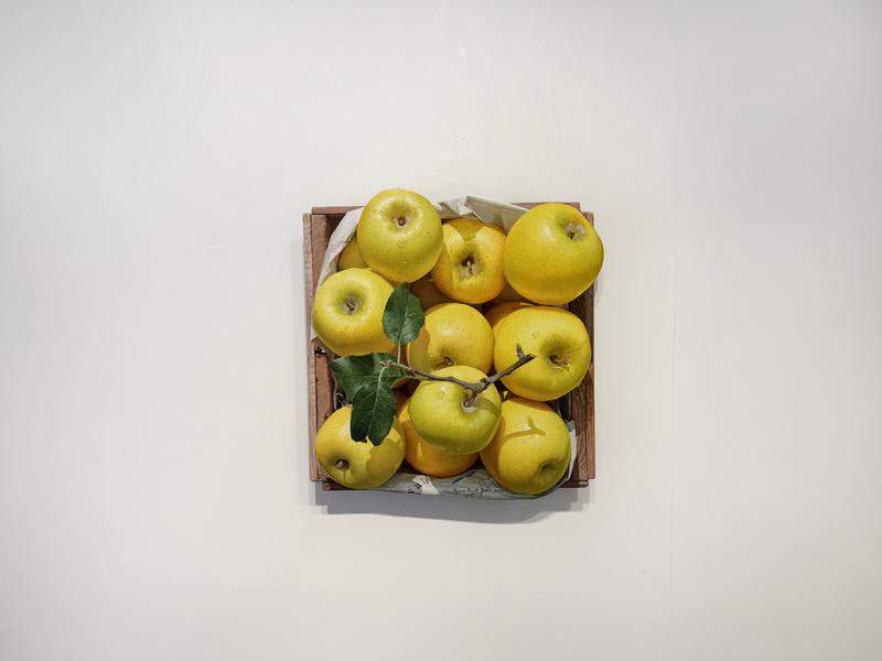 Autumn Collection 2025